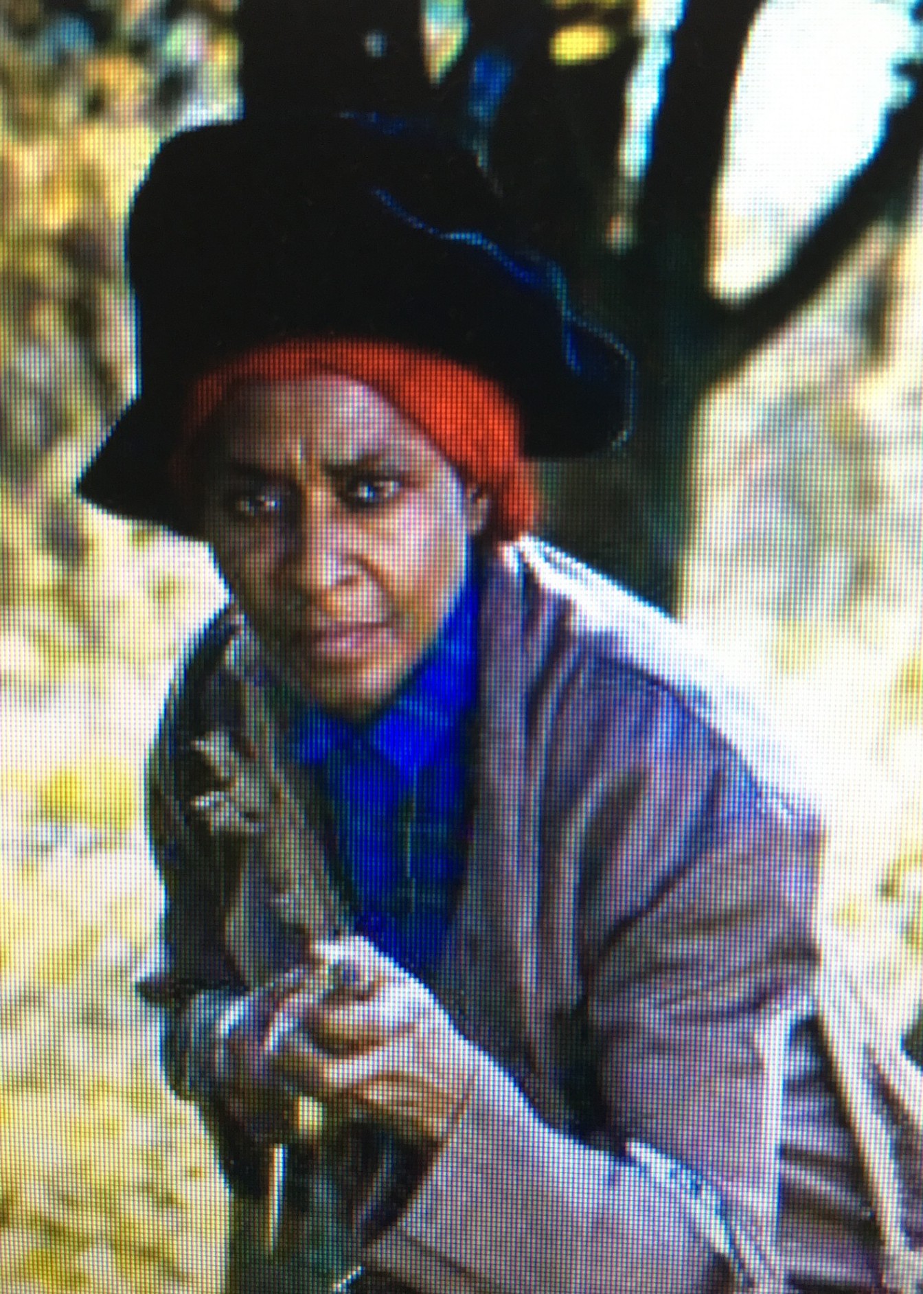 Harriet Tubman, county fairs focus of 2 events at museum
